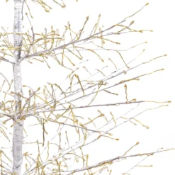 Albero Conico Tiglio bianco h 1,5 m, 1120 microled bianco caldo, uso interno