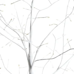 Albero Ramo luminoso Leccio bianco 1,2 m, 336 microled bianco caldo, uso interno