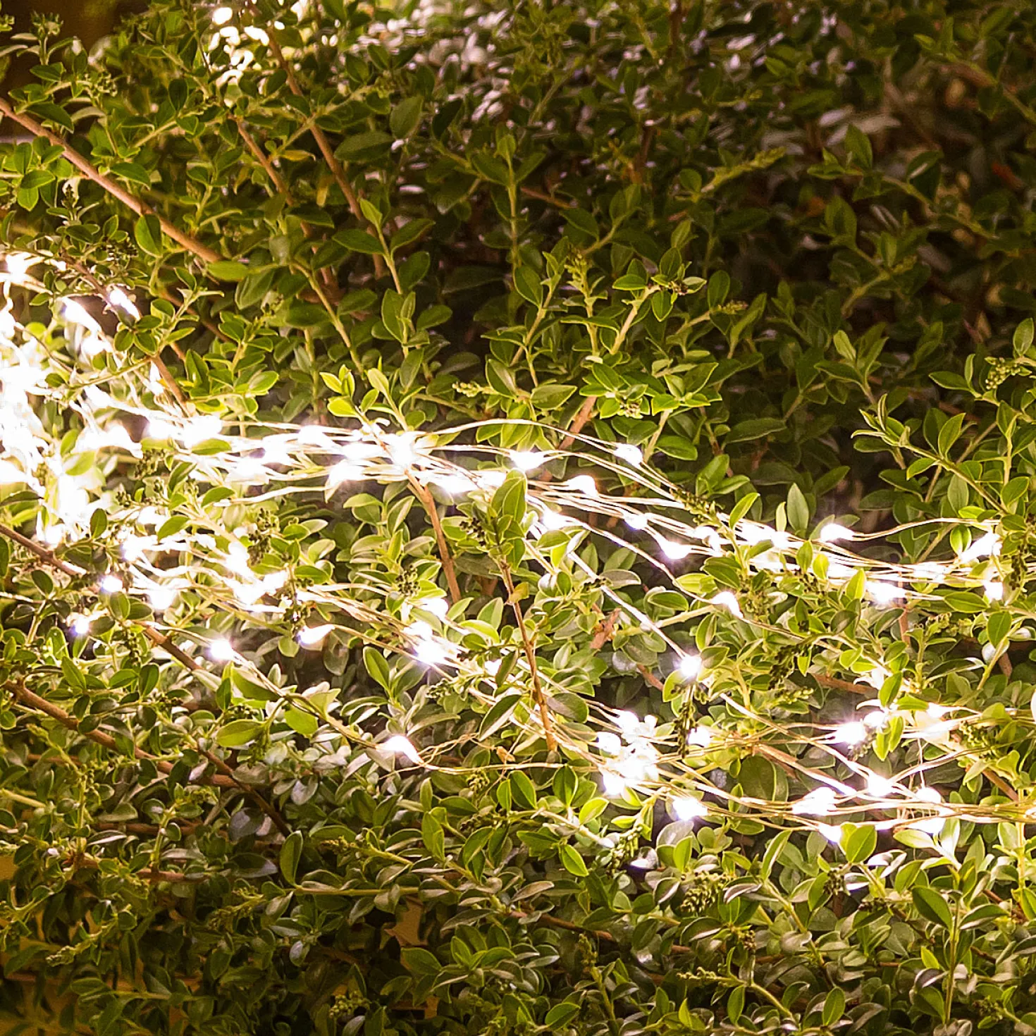 Cascata di luce argento, 900 microled bianco caldo