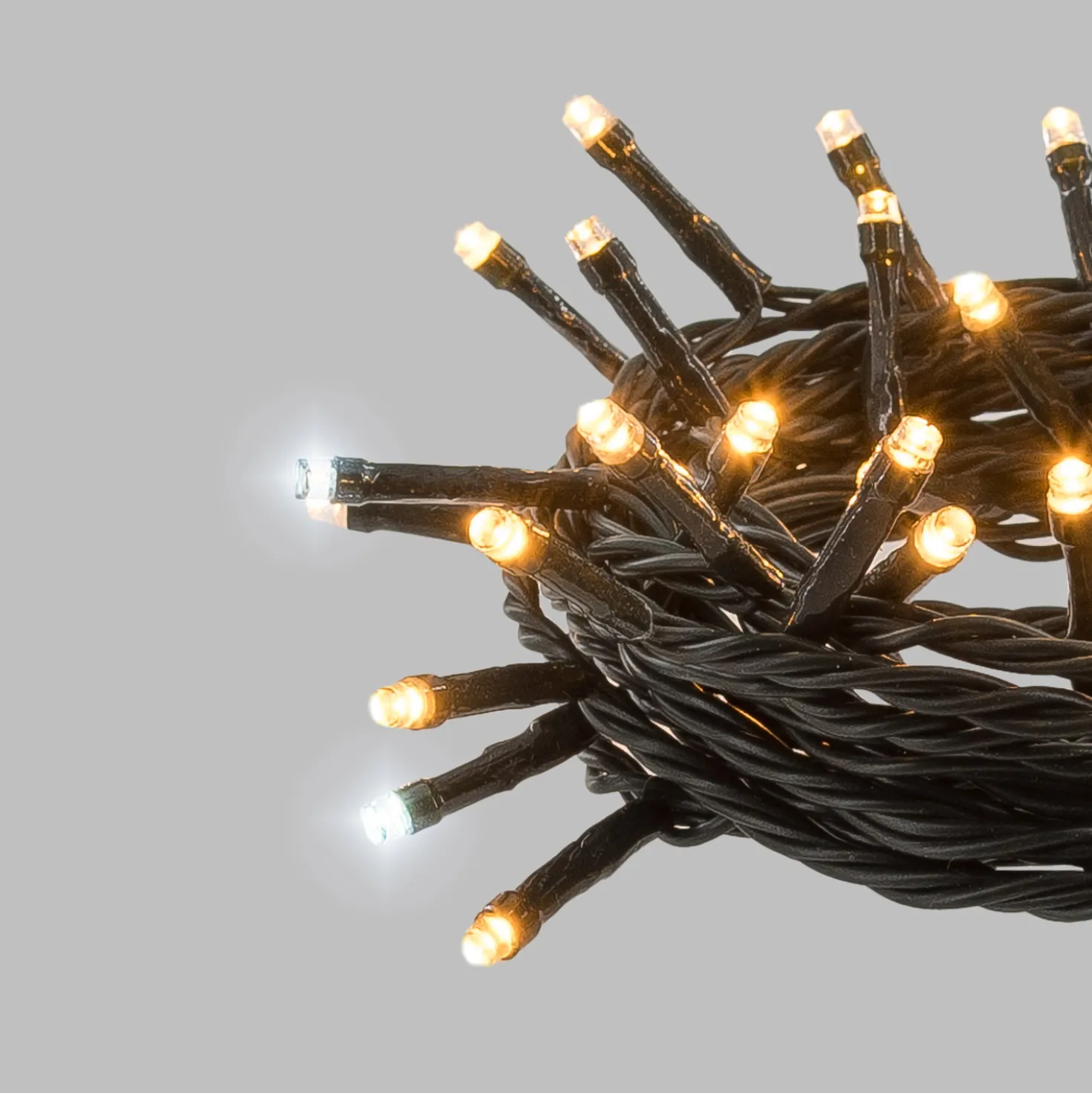 Catena Connect+ 8 m, 80 led bianco caldo e bianco freddo, cavo verde, prolungabile