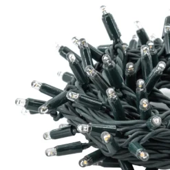 Catena Connect ProLine 36V, 8 m, 80 maxiled bianco caldo, cavo verde, prolungabile