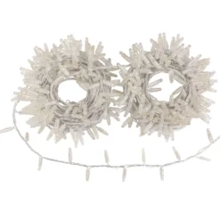 Catena Connect ProLine 36V, 25 m, 500 maxiled bianco caldo, cavo trasparente, prolungabile