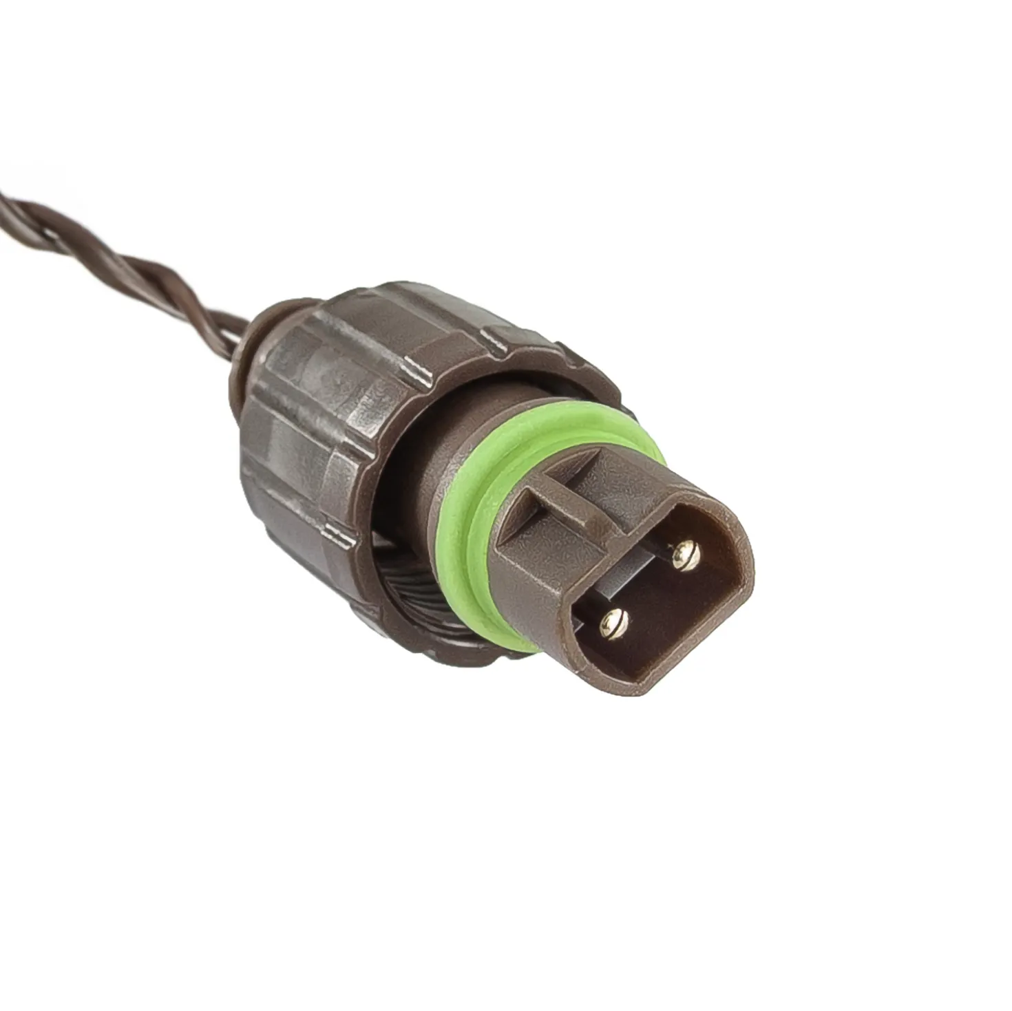 Catena Connect ProLine 36V, 5 m, 50 maxiled bianco caldo, cavo marrone, prolungabile
