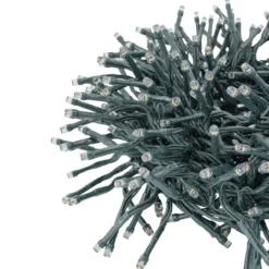 Catena Festone Connect+ 3 m, 300 led bianco caldo, cavo verde, prolungabile