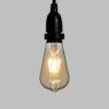 Catena 5 m, 8 lampadine led pendenti Edison Ø 64 mm di 4 watt dimmerabili, h 30 cm, prolungabile