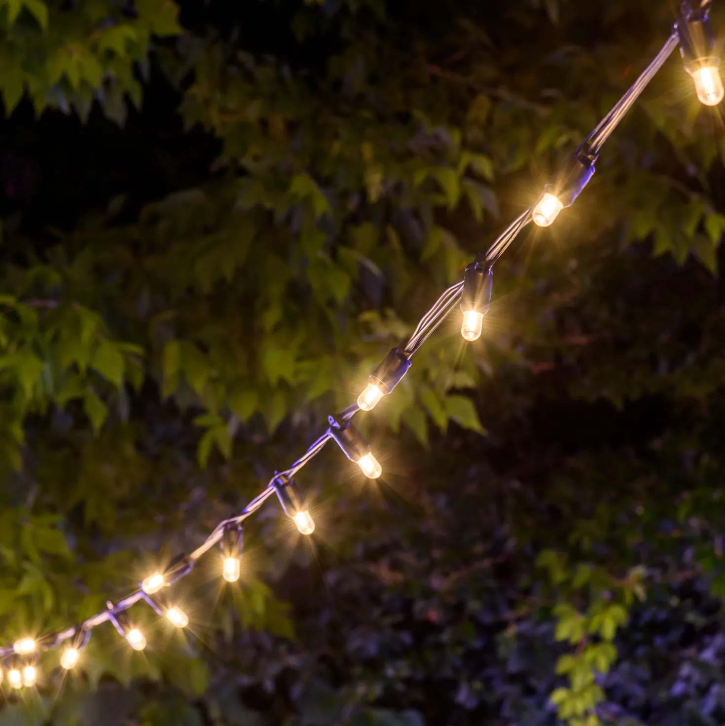 Catena 6 m, 20 lampadine Ø 18 mm, filament led bianco caldo, prolungabile