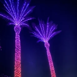 Catena Twinkly Plus RGB e Bianco caldo, 25 metri, 250 Pixel Led, cavo nero