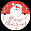 Gobo Babbo Merry Christmas per proiettori professionali, Ø37-23 mm
