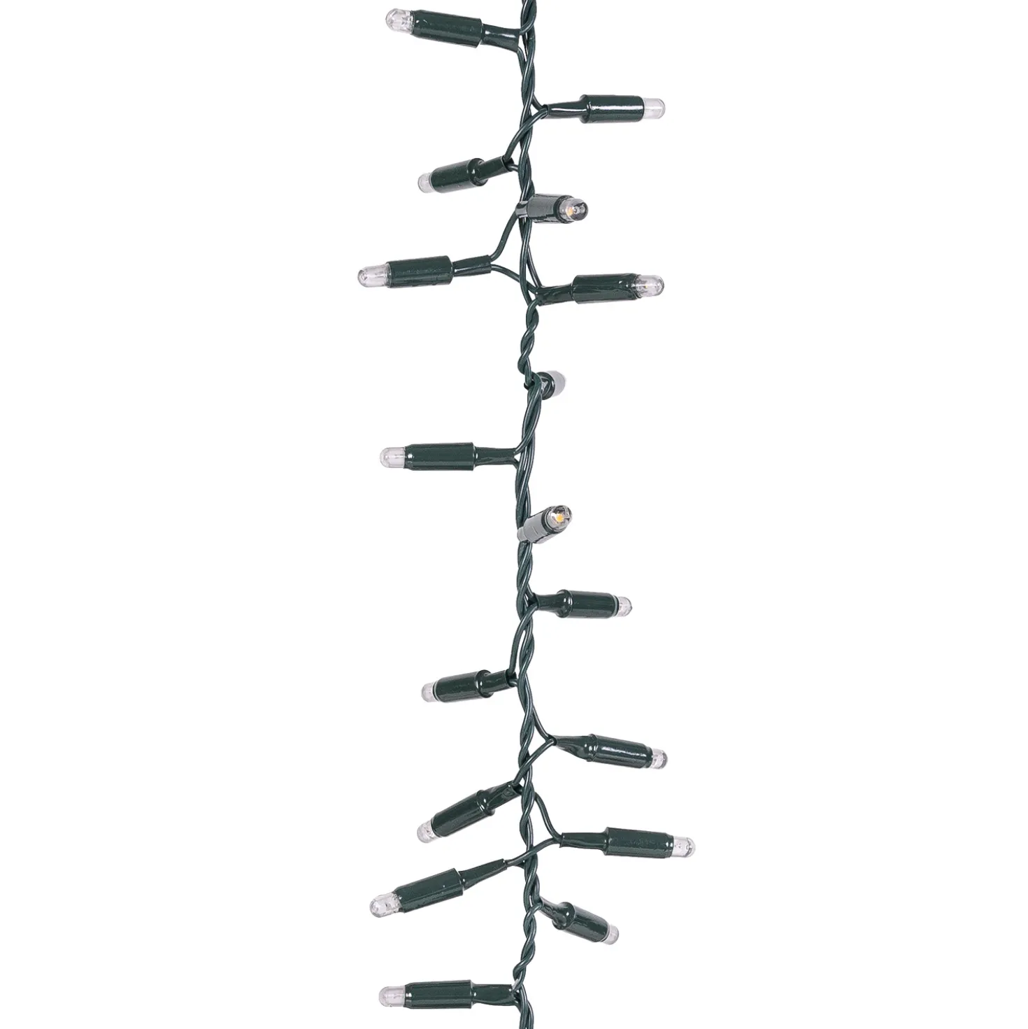 Nastro Pendente Connect ProLine 36V, 5 m, 250 maxiled bianco caldo, cavo verde