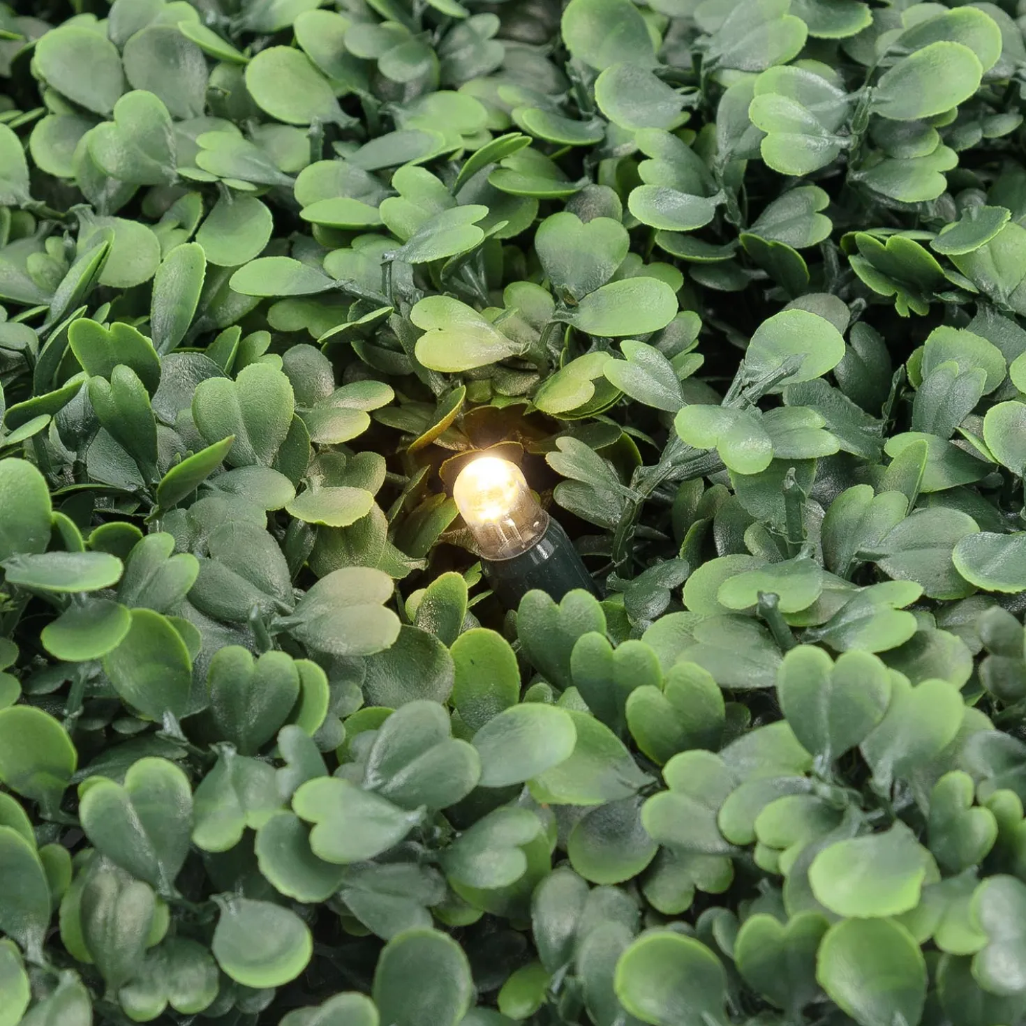Pannello di Bosso artificiale verde scuro Green Wall Light, 16 maxiled Dual Color bianco caldo