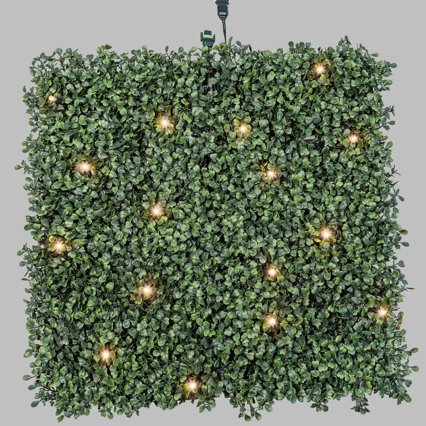 Pannello di Bosso artificiale verde scuro Green Wall Light, 16 maxiled Dual Color bianco caldo
