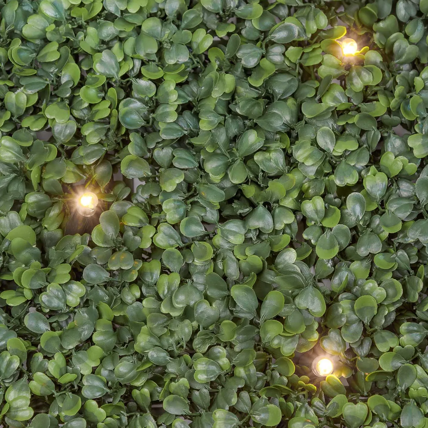 Pannello di Bosso artificiale verde scuro Green Wall Light, 16 maxiled Dual Color bianco caldo