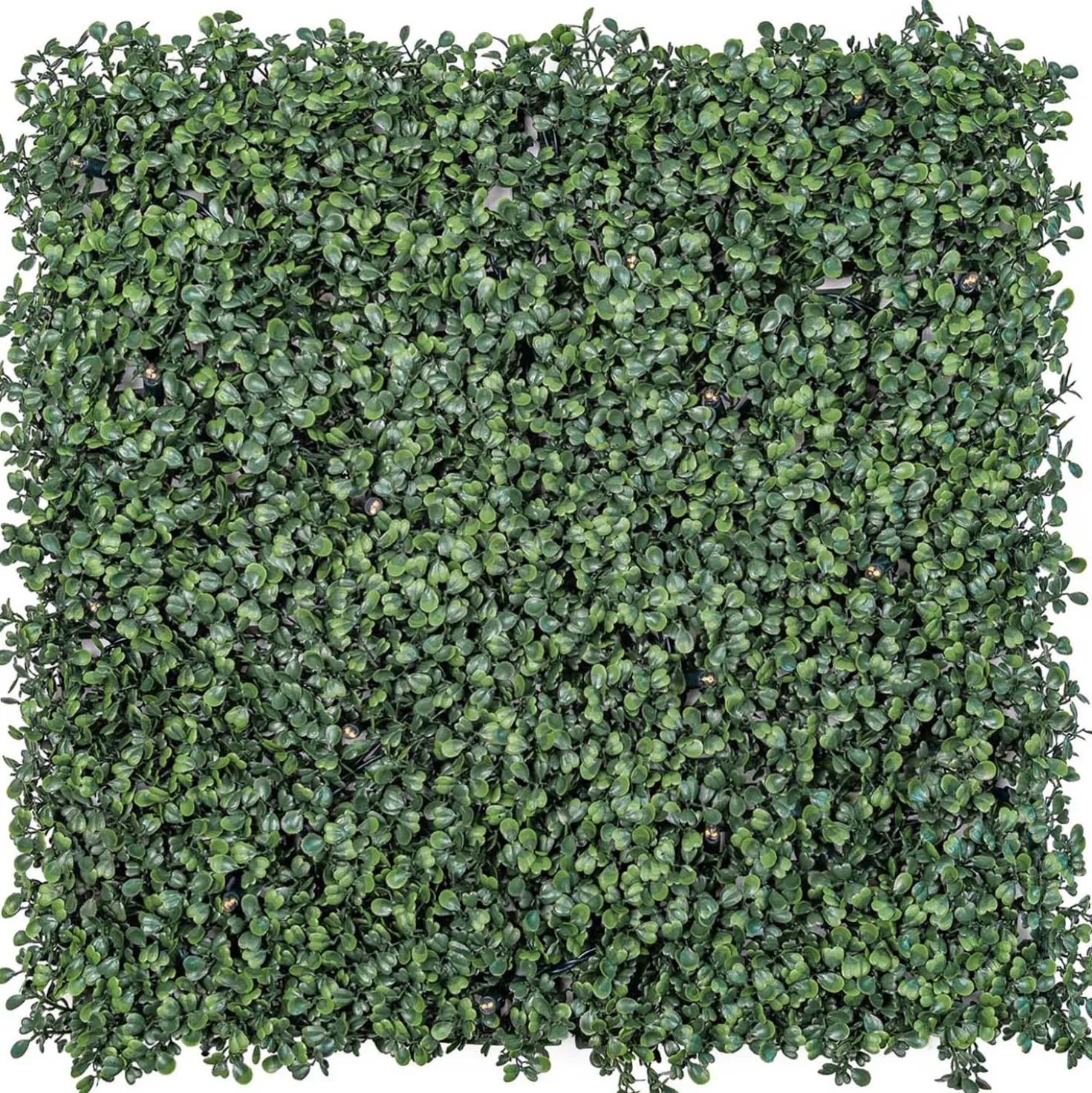 Pannello di Bosso artificiale verde scuro Green Wall Light, senza luci