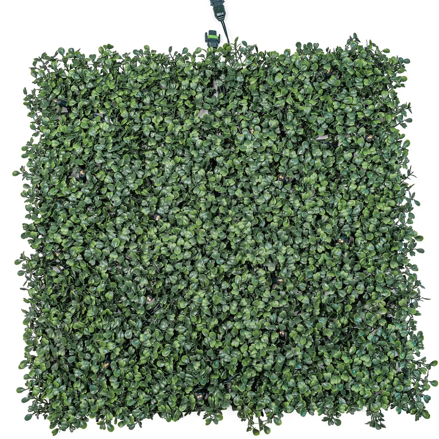 Pannello di Bosso artificiale verde scuro Green Wall Light, senza luci