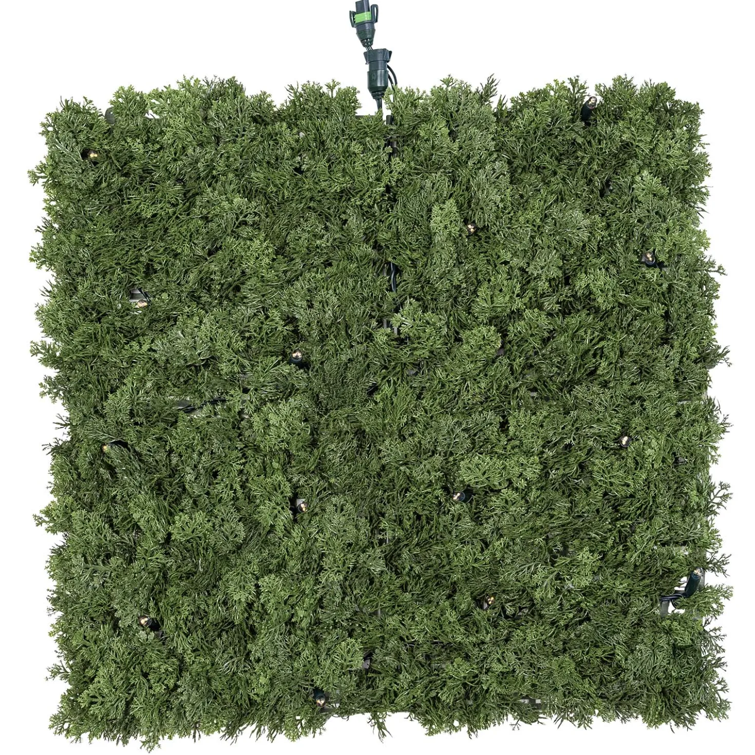 Pannello di Lichene artificiale verde bosco Green Wall Light, 16 maxiled Dual Color bianco caldo
