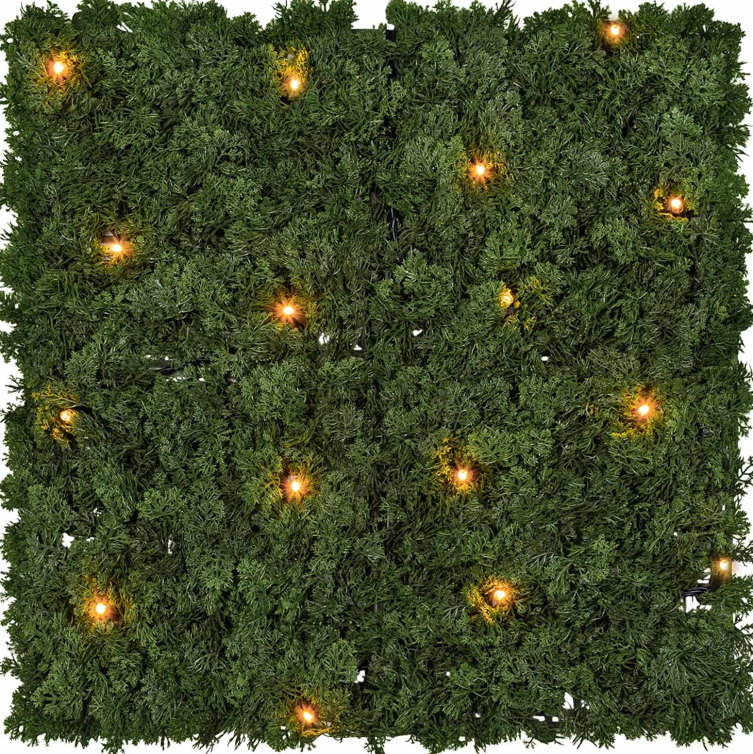 Pannello di Lichene artificiale verde bosco Green Wall Light, 16 maxiled Dual Color bianco caldo