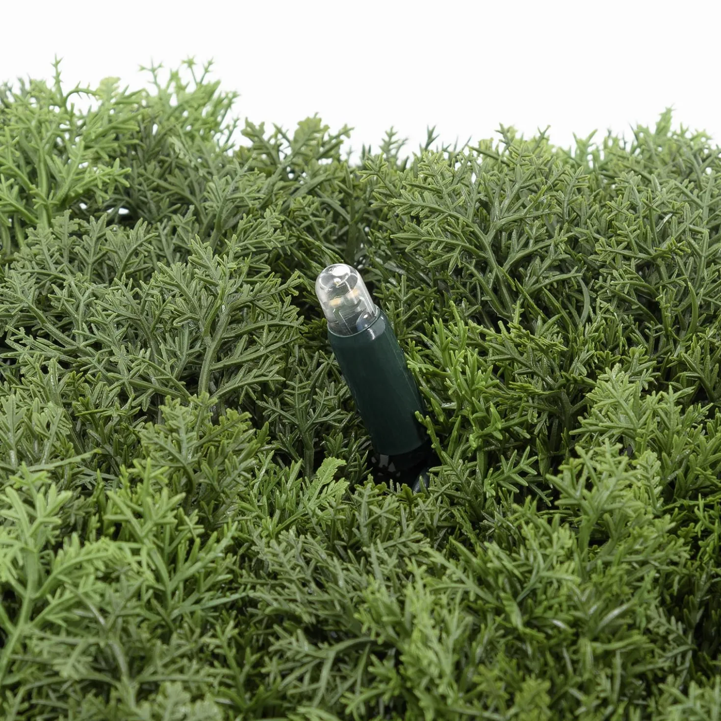 Pannello di Lichene artificiale verde bosco Green Wall Light, 16 maxiled Dual Color bianco caldo