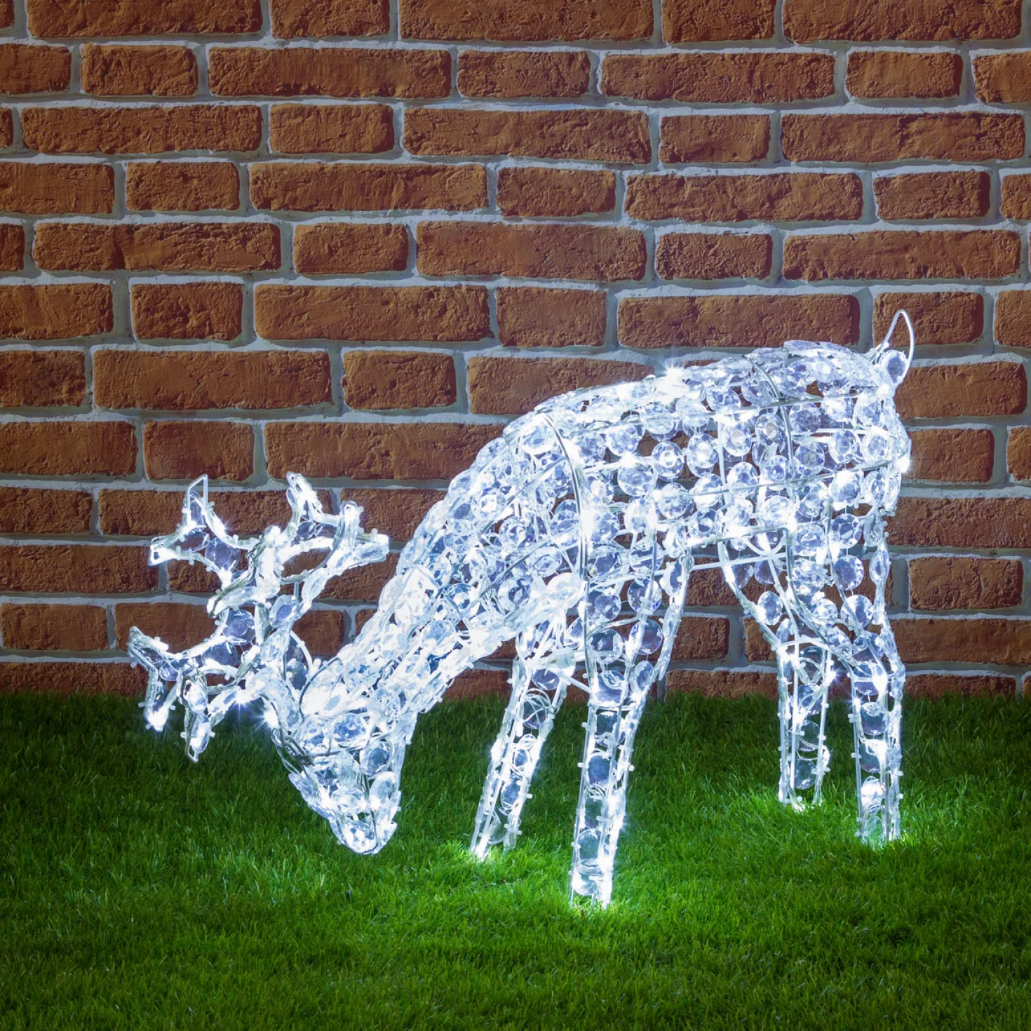 Renna che bruca l'erba, h. 50 cm, led bianco freddo